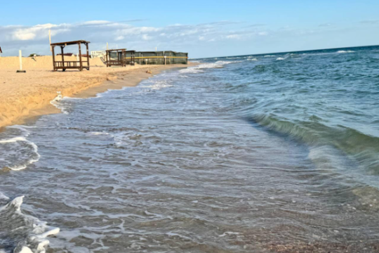 Гостевой дом "The Pink Panther"